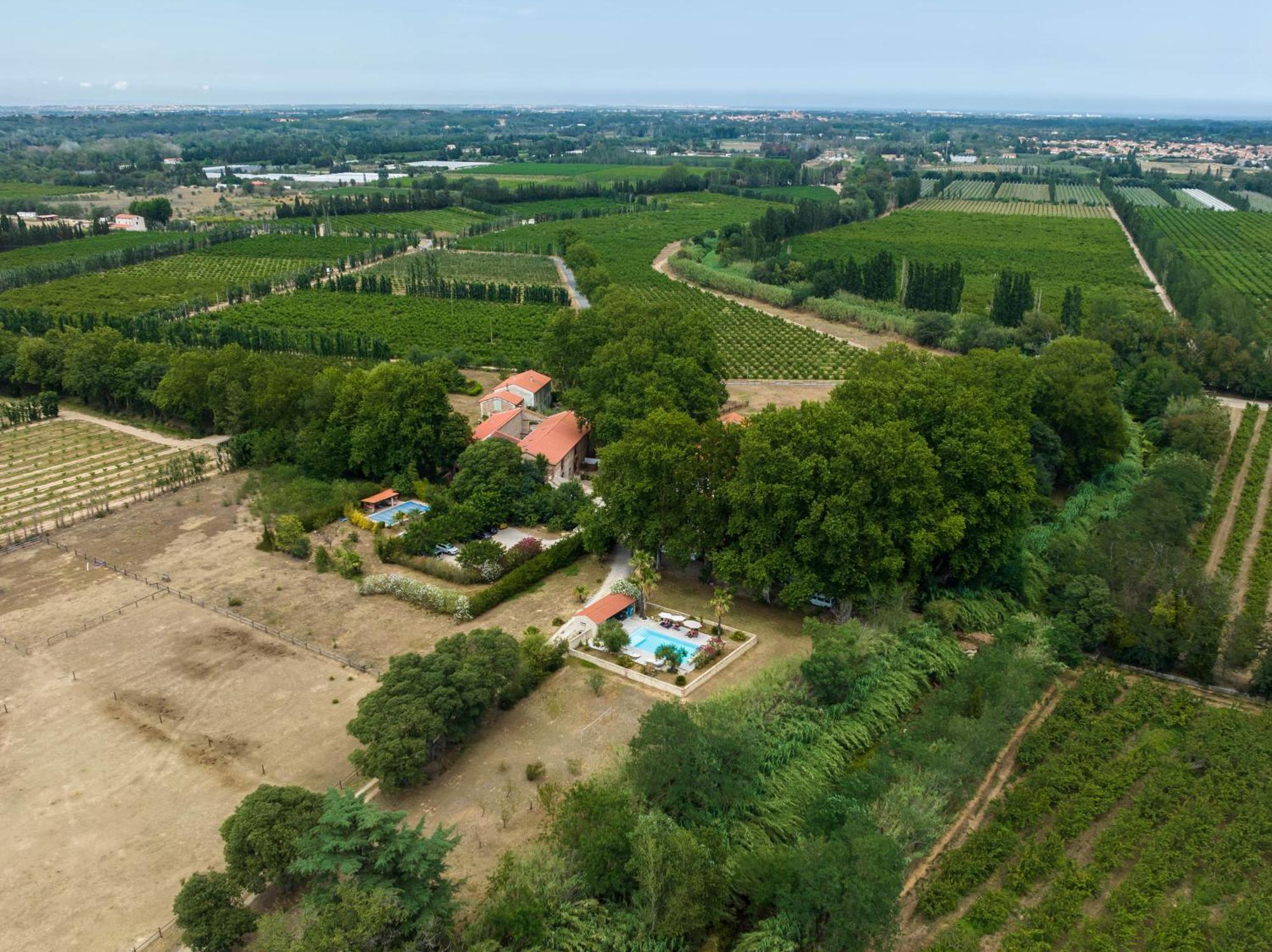 Domaine Castell De Bles Bed & Breakfast Saint-Génis Eksteriør bilde
