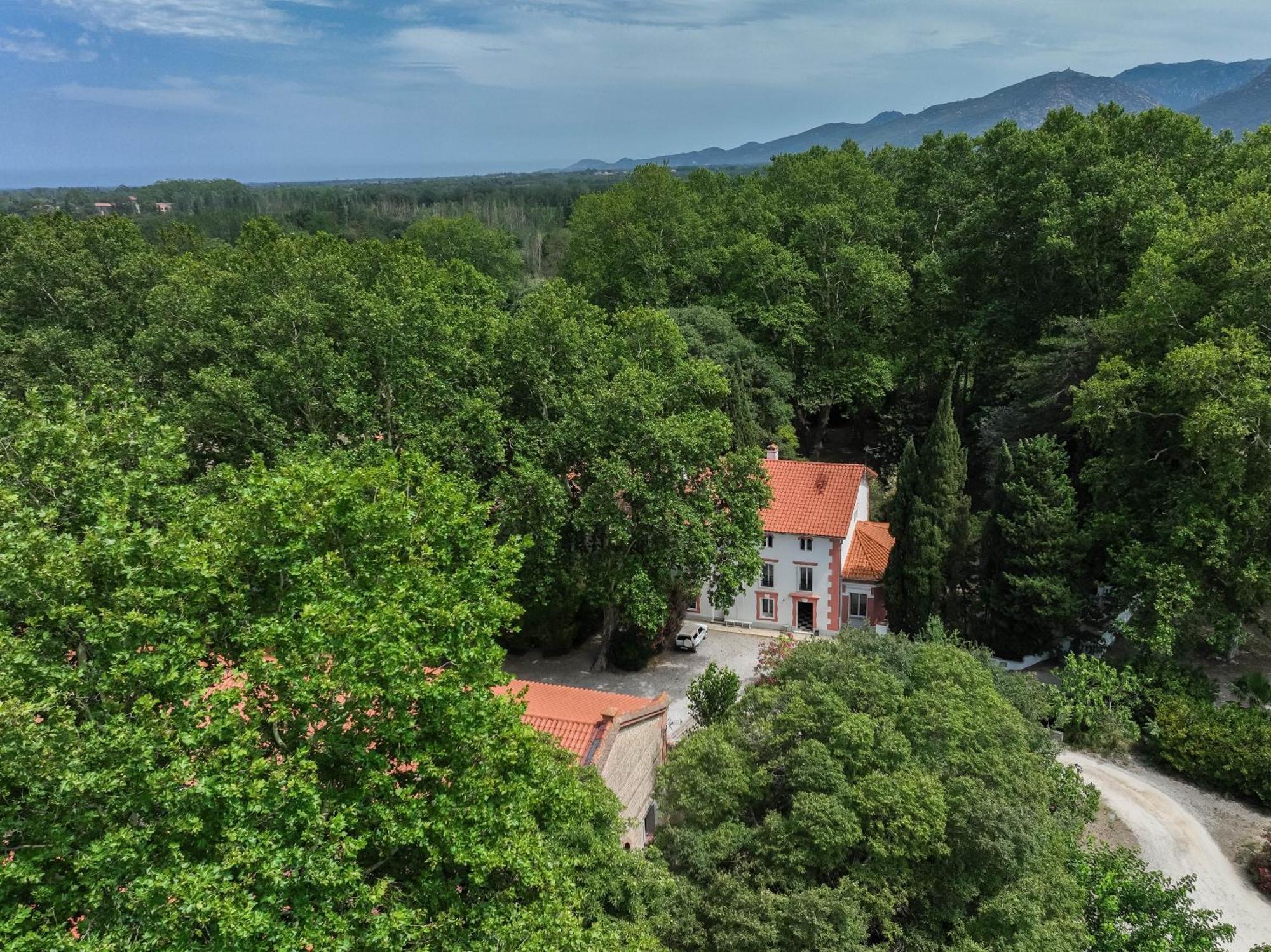 Domaine Castell De Bles Bed & Breakfast Saint-Génis Eksteriør bilde